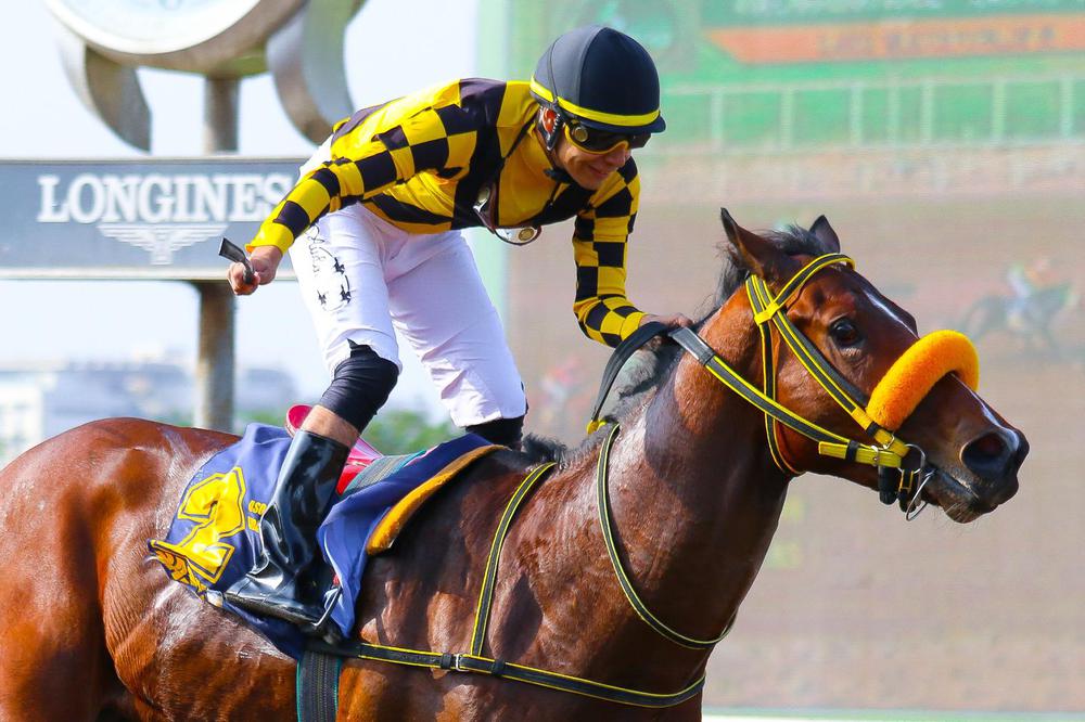 WhatsApp Image 2023-06-18 at 6.24.21 PM