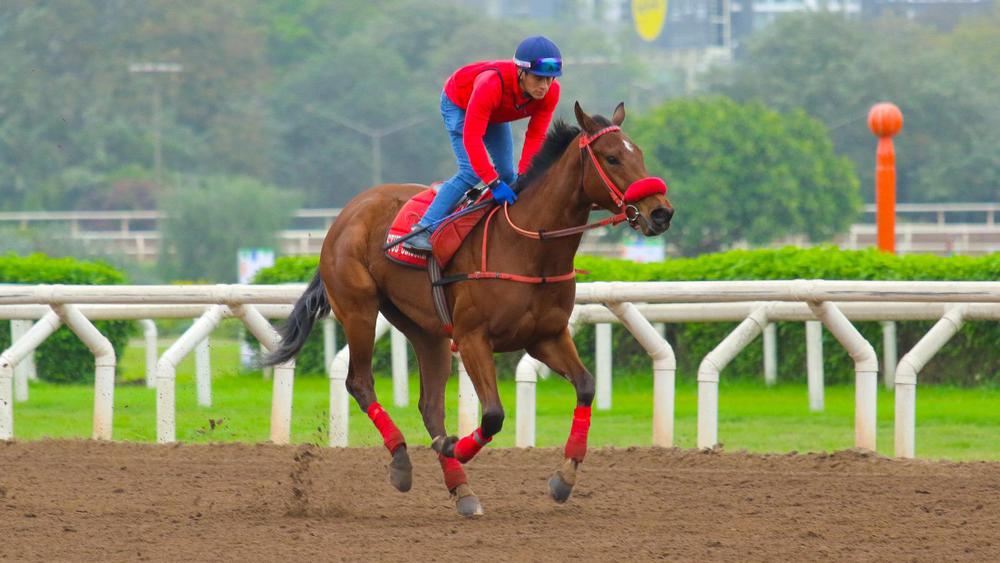 WhatsApp Image 2023-09-26 at 11.21.50 AM