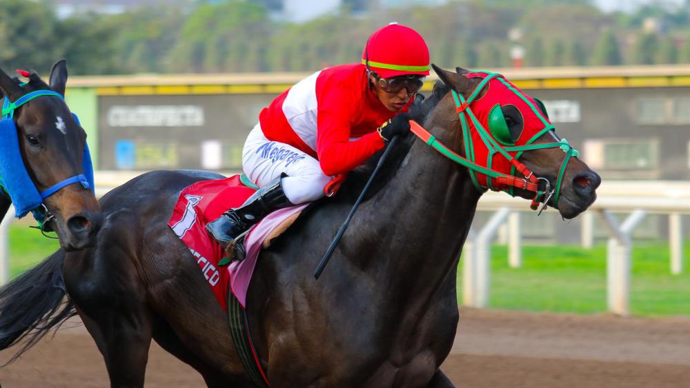 WhatsApp Image 2023-09-24 at 5.23.41 PM