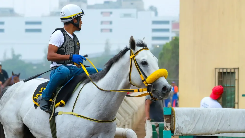 WhatsApp Image 2023-11-08 at 1.07.49 PM