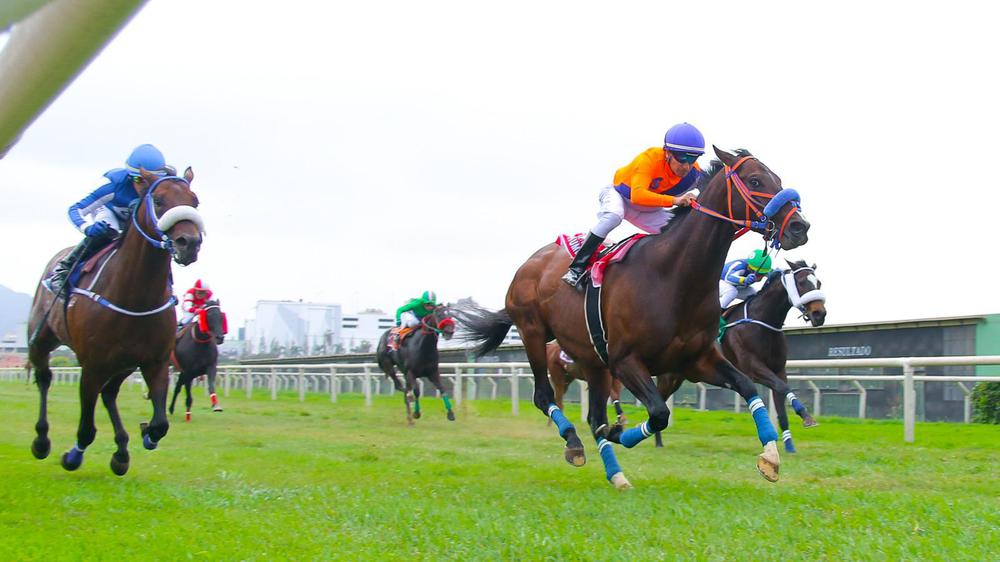 WhatsApp Image 2023-09-24 at 3.55.15 PM