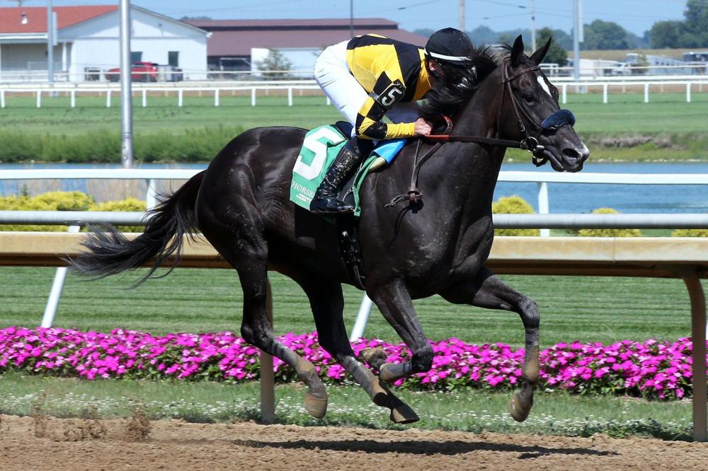 WhatsApp Image 2023-08-16 at 3.09.43 PM