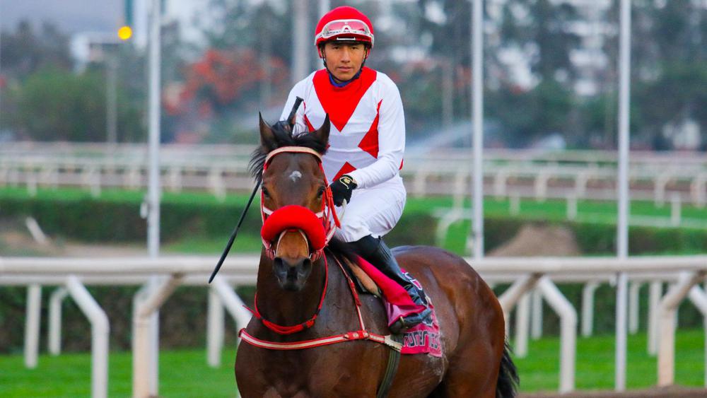 WhatsApp Image 2023-07-27 at 12.46.49 PM