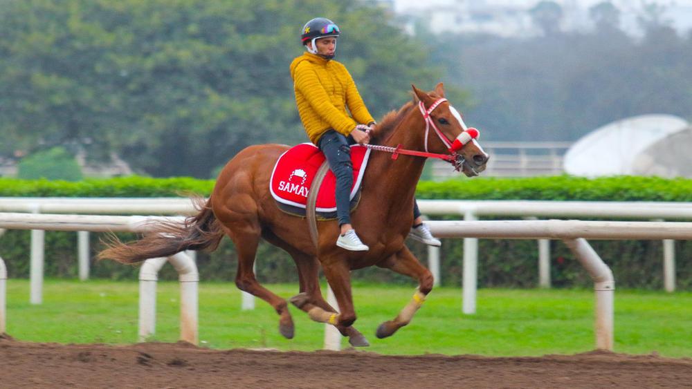 WhatsApp Image 2023-09-16 at 9.34.27 AM