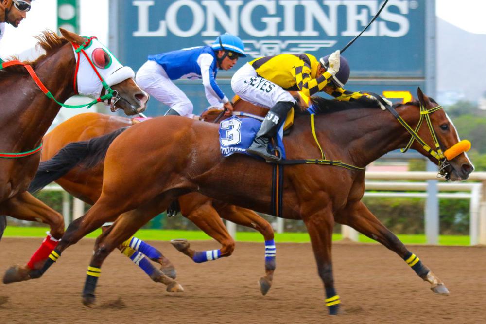  Sra. Estrellita sobre Manolete. Foto: José Luis De La Cruz.