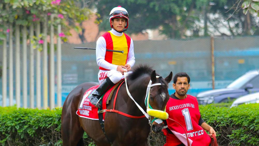 WhatsApp Image 2023-09-08 at 2.29.30 PM