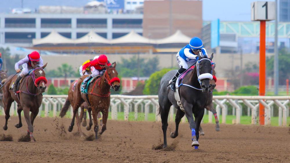 WhatsApp Image 2023-09-03 at 5.12.35 PM