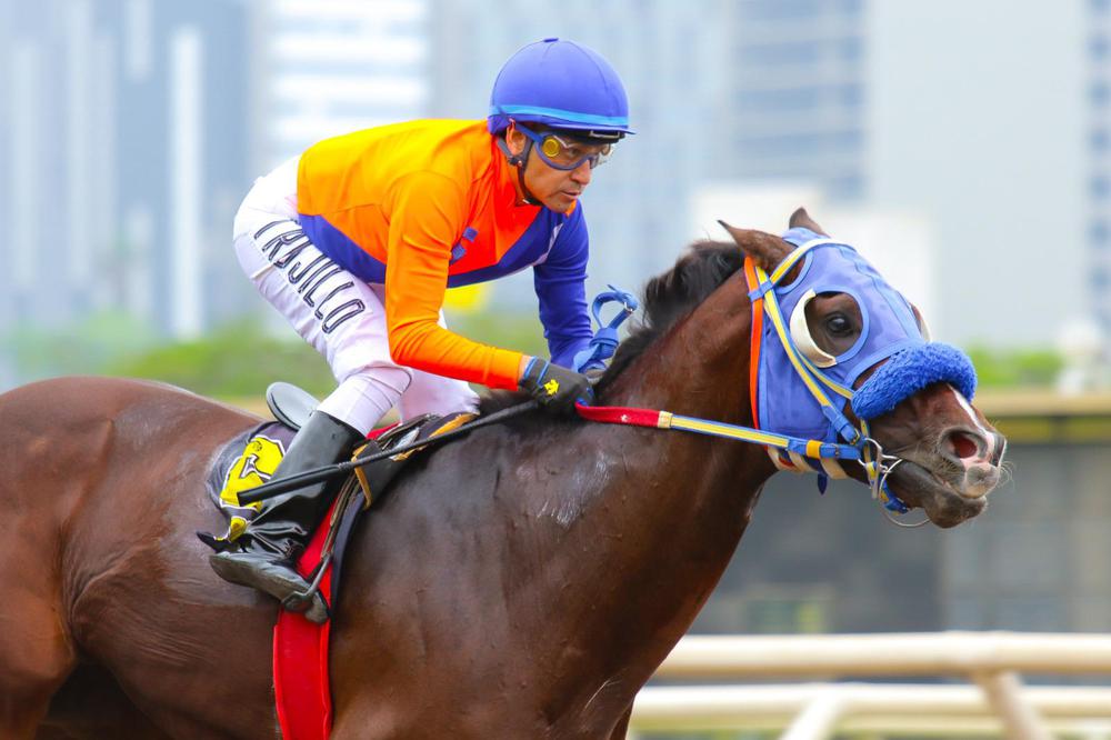 WhatsApp Image 2023-06-22 at 12.46.10 PM