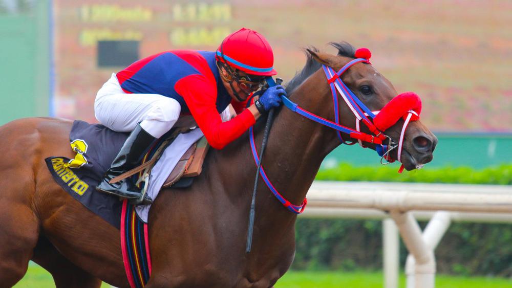 WhatsApp Image 2023-09-18 at 3.14.29 PM