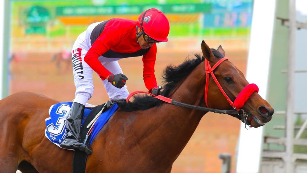 WhatsApp Image 2023-09-08 at 4.03.18 PM