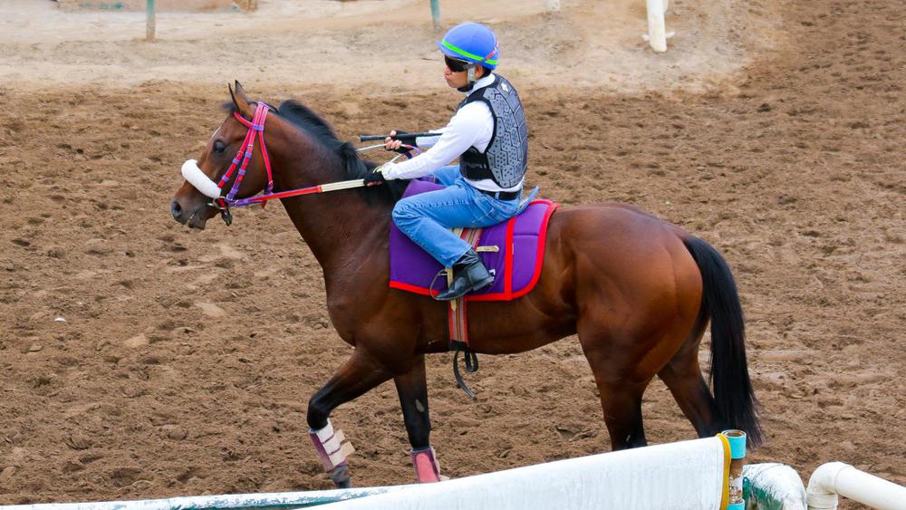 WhatsApp Image 2023-09-18 at 10.33.09 AM