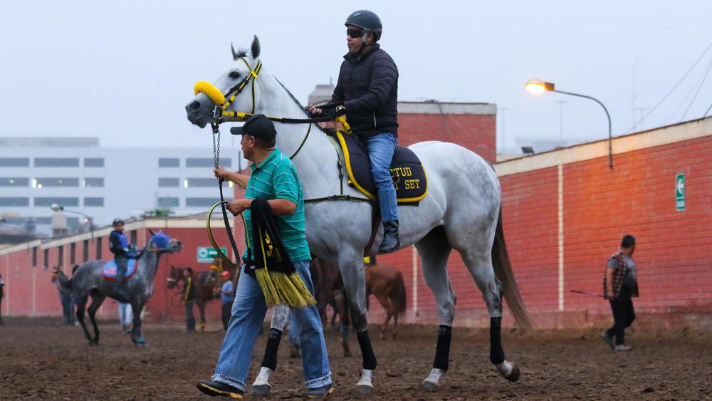 WhatsApp Image 2023-09-28 at 9.43.49 AM