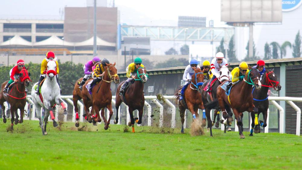 WhatsApp Image 2023-08-24 at 5.32.42 PM