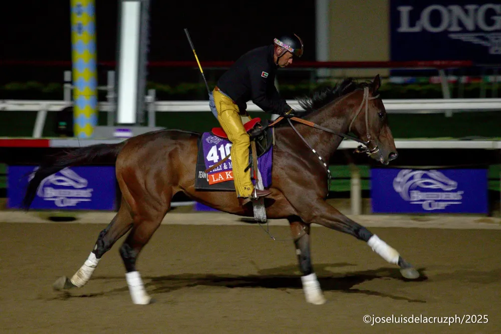 WhatsApp Image 2025-10-31 at 12.02.55 PM