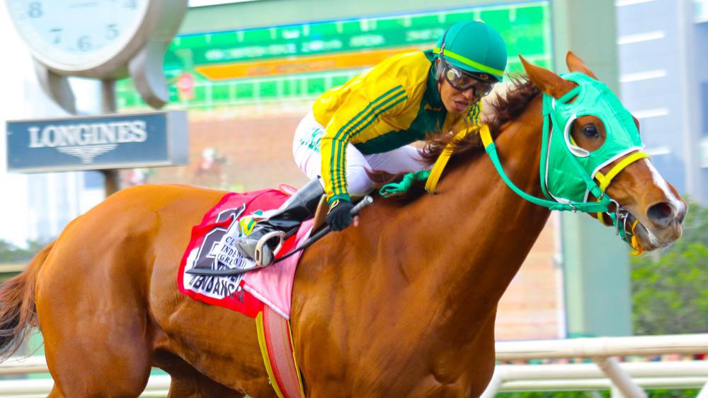 WhatsApp Image 2023-07-29 at 4.32.41 PM