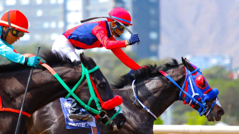 WhatsApp Image 2023-07-28 at 2.50.38 PM