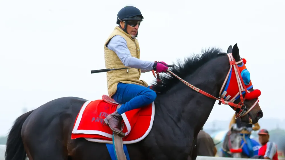 WhatsApp Image 2023-11-11 at 11.05.21 AM