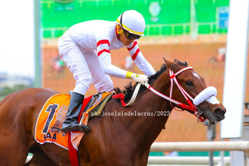 WhatsApp Image 2023-07-16 at 4.22.18 PM