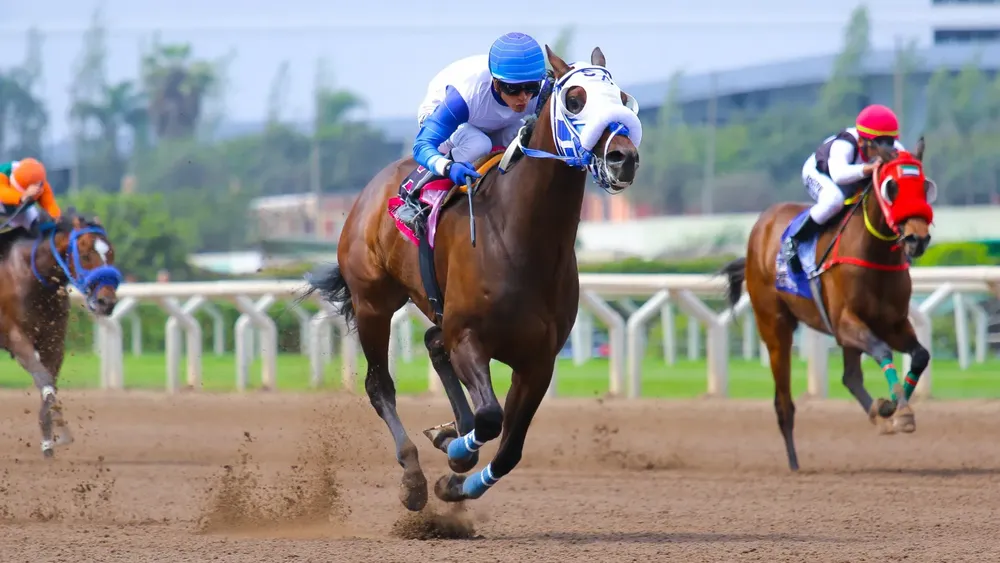 WhatsApp Image 2023-10-29 at 2.07.08 PM