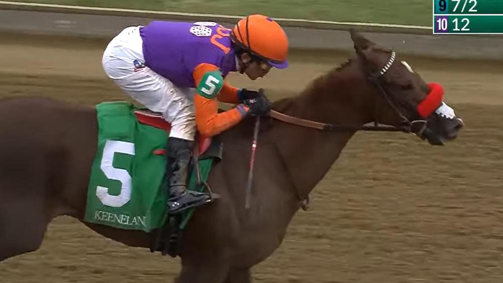 WhatsApp Image 2023-10-19 at 1.56.55 PM