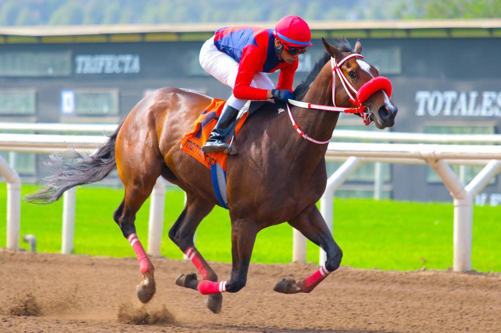 WhatsApp Image 2023-07-09 at 2.32.45 PM