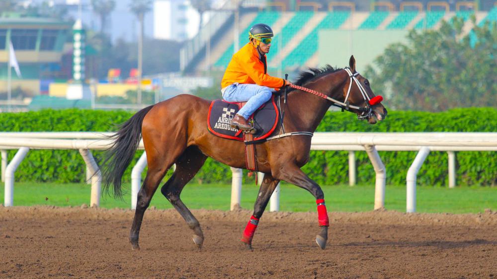 WhatsApp Image 2023-10-09 at 10.19.31 AM