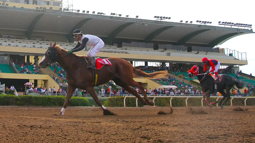 WhatsApp Image 2023-10-29 at 4.06.00 PM