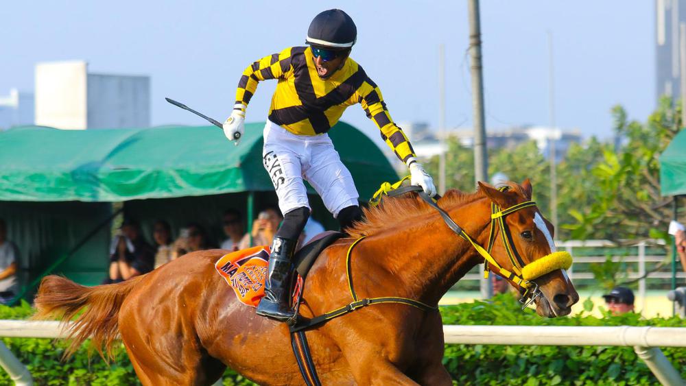 WhatsApp Image 2023-10-01 at 4.53.42 PM