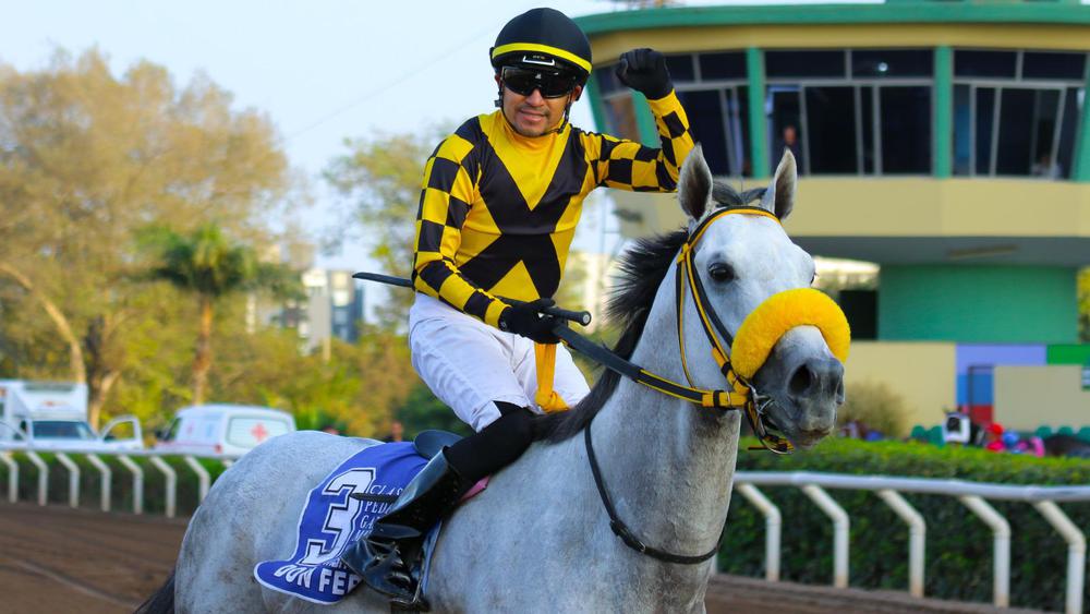 WhatsApp Image 2023-08-21 at 11.11.53 AM