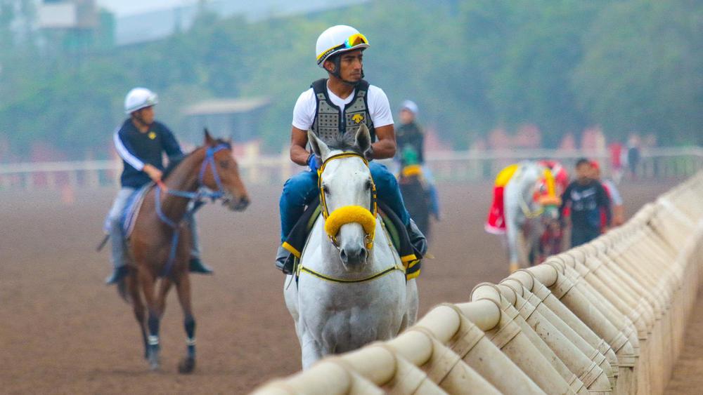 WhatsApp Image 2023-07-19 at 5.27.47 PM