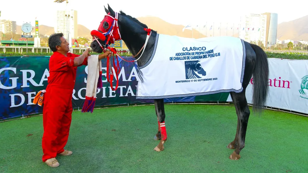 WhatsApp Image 2023-10-23 at 2.07.35 PM