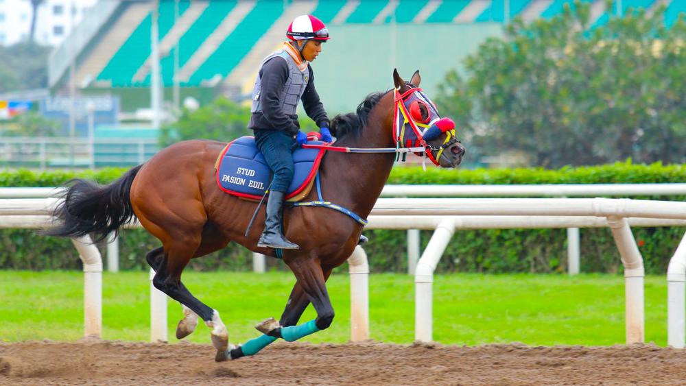 WhatsApp Image 2023-09-04 at 10.24.09 AM