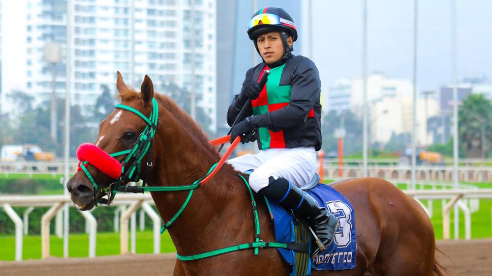 WhatsApp Image 2023-10-21 at 6.56.59 PM