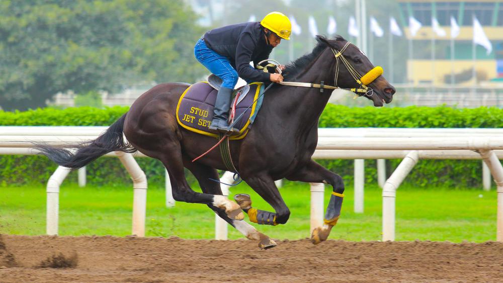 WhatsApp Image 2023-09-25 at 10.28.41 AM