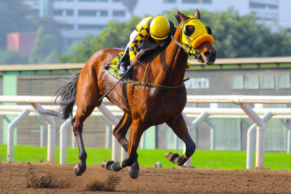 WhatsApp Image 2023-07-08 at 4.09.59 PM