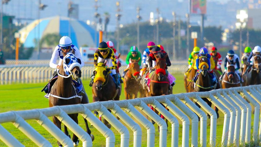 WhatsApp Image 2023-08-19 at 7.39.25 AM