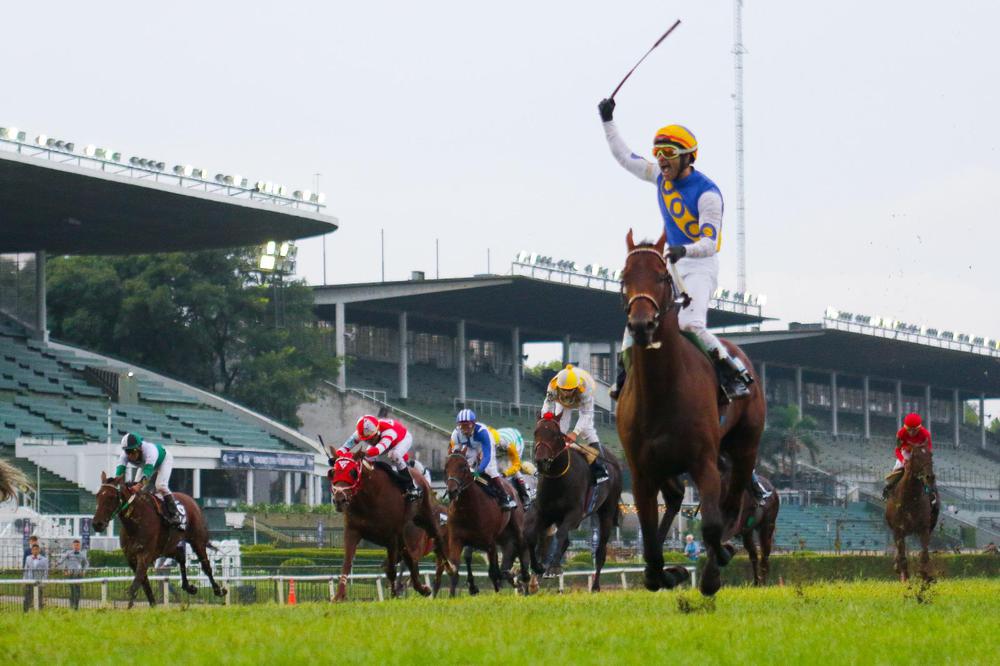 WhatsApp Image 2023-06-22 at 4.32.09 PM