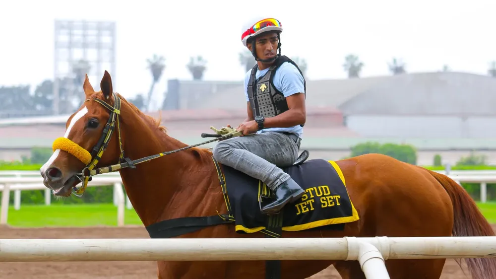 WhatsApp Image 2023-11-06 at 10.34.20 AM