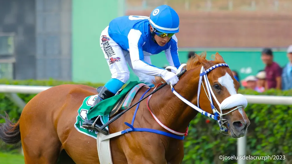 WhatsApp Image 2023-11-19 at 3.08.48 PM