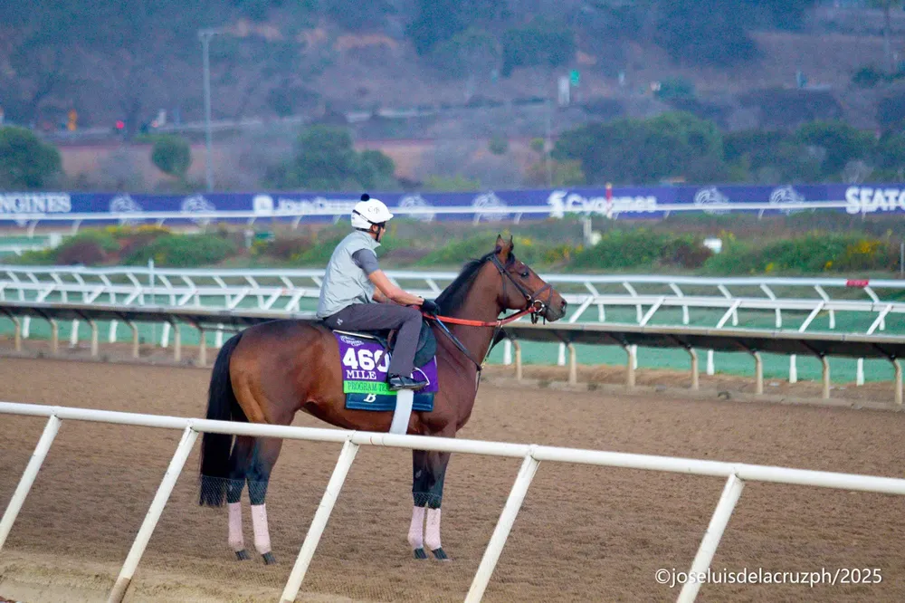 WhatsApp Image 2025-10-31 at 7.10.18 AM