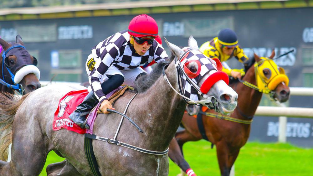 WhatsApp Image 2023-07-23 at 1.56.09 PM