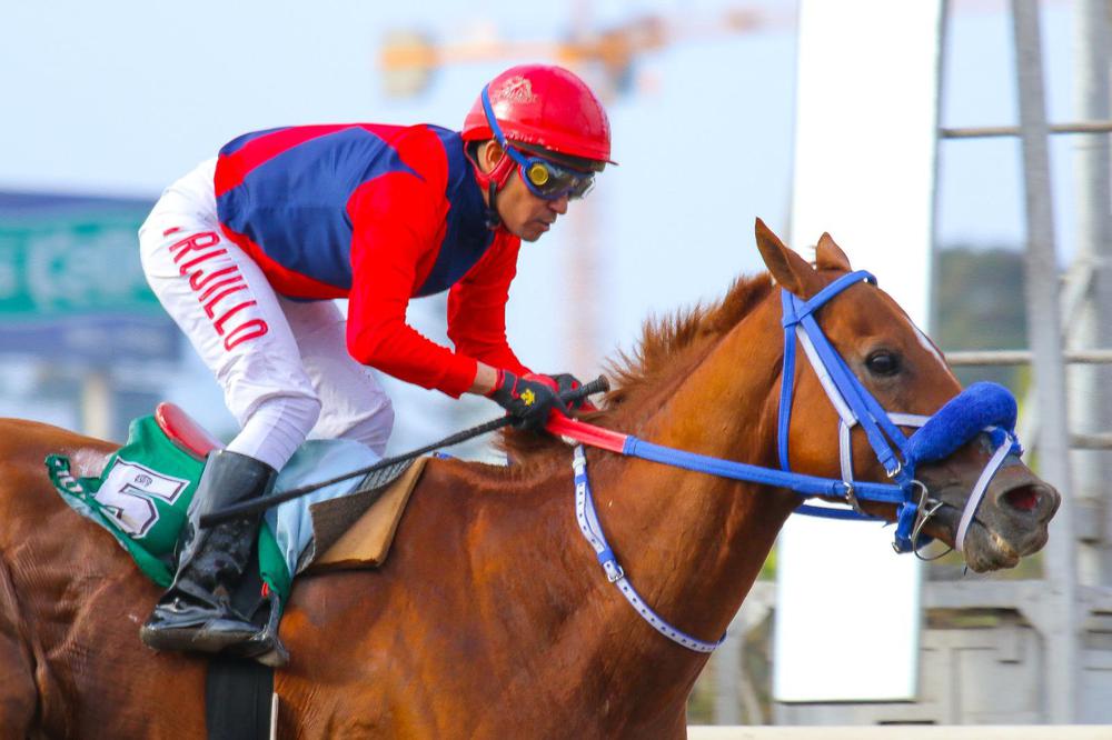 WhatsApp Image 2023-06-29 at 4.47.41 PM