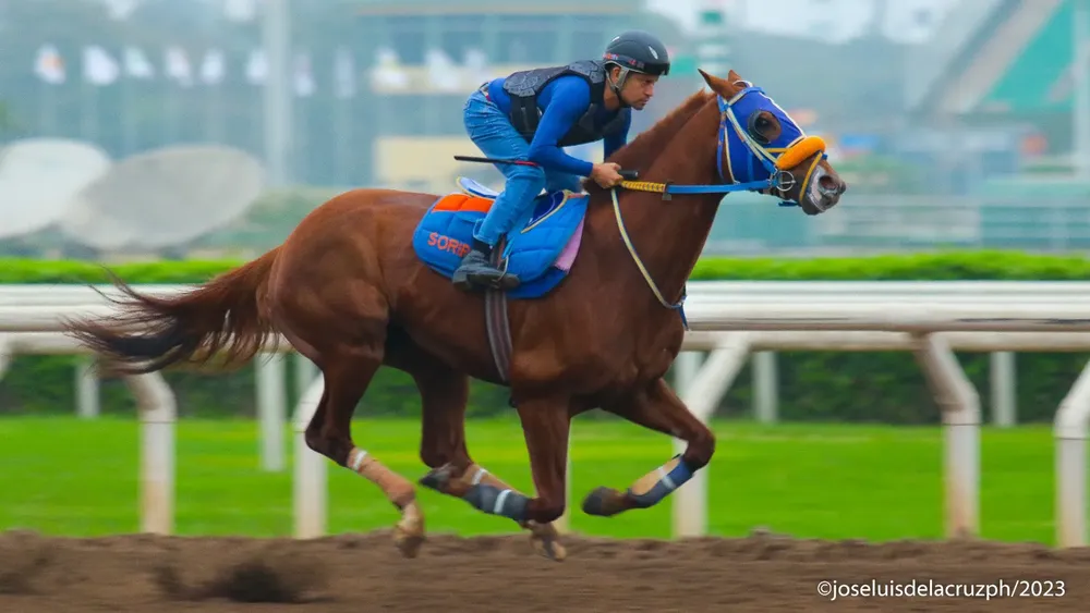 WhatsApp Image 2023-11-20 at 10.38.26 AM