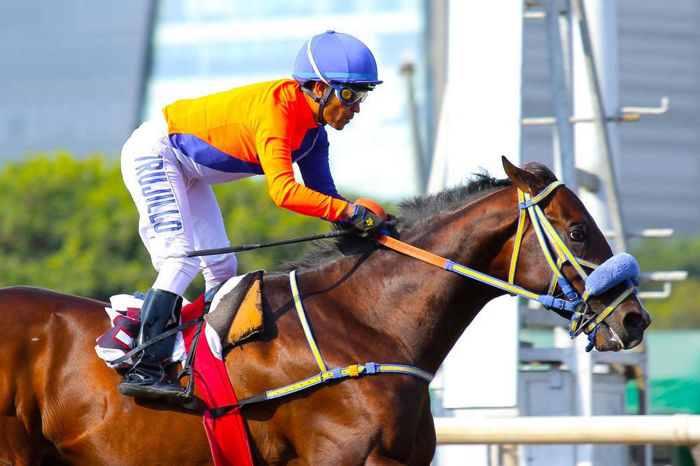 WhatsApp Image 2023-07-13 at 8.14.05 PM (1)