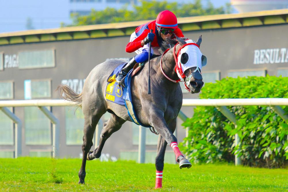 WhatsApp Image 2023-06-21 at 5.51.15 PM