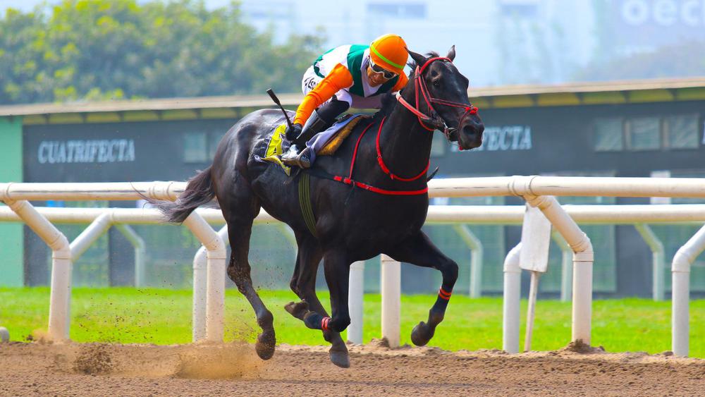 WhatsApp Image 2023-07-29 at 2.54.05 AM