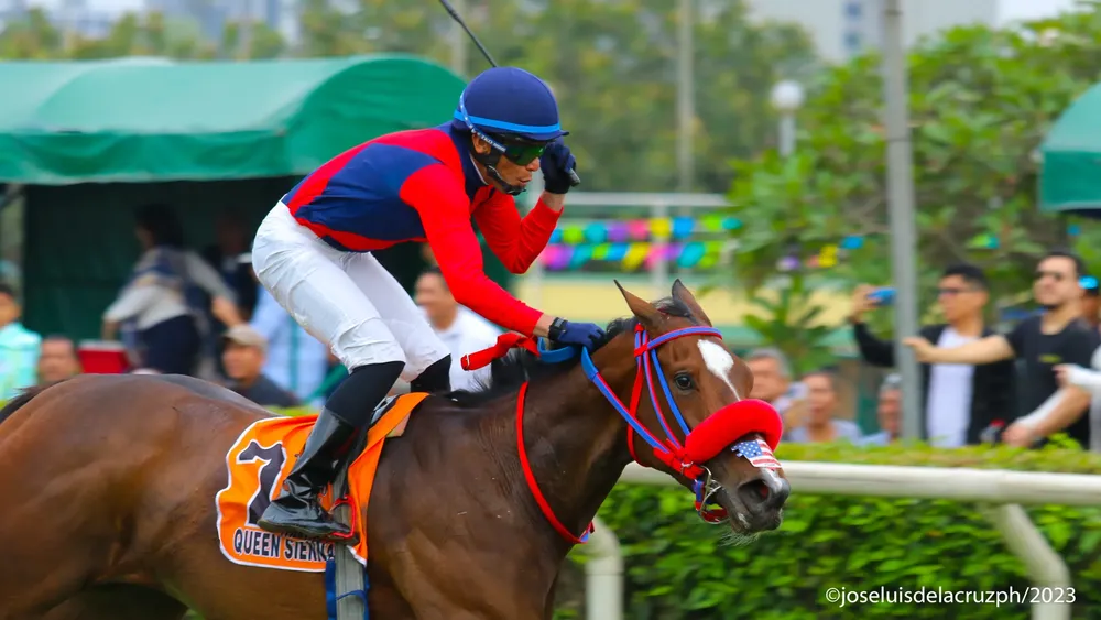 WhatsApp Image 2023-11-19 at 6.41.47 PM