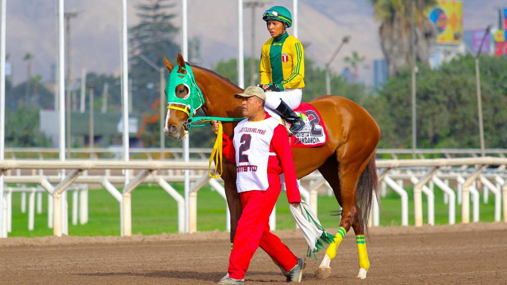 WhatsApp Image 2023-08-16 at 5.47.29 PM