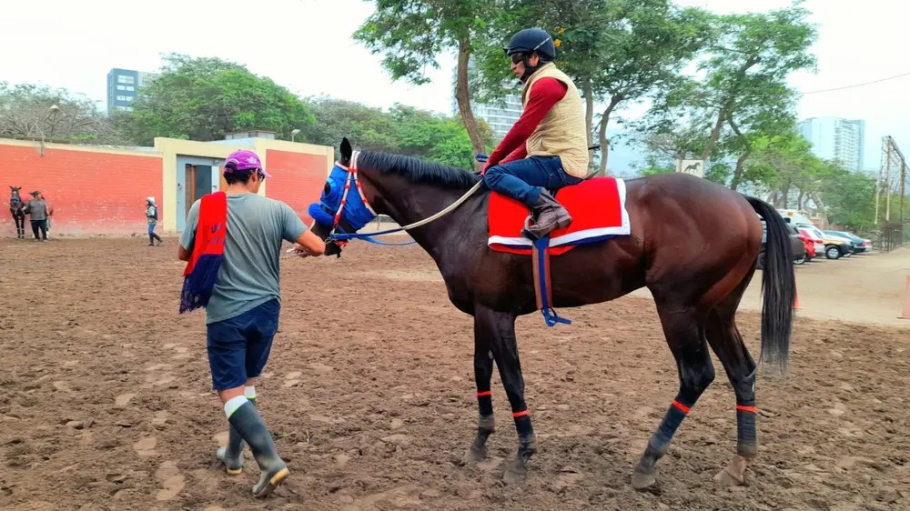 WhatsApp Image 2023-10-28 at 8.59.55 AM