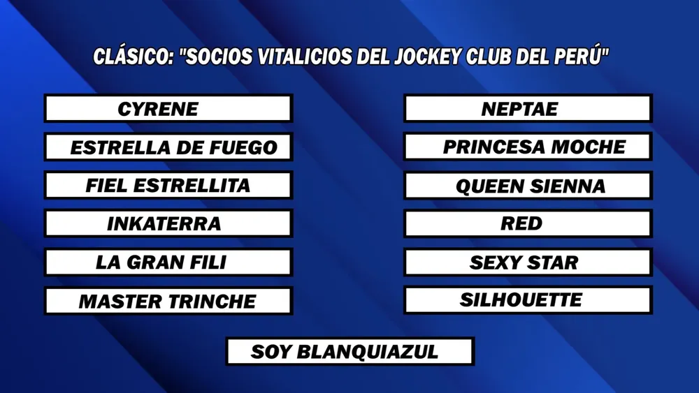 WhatsApp Image 2025-04-07 at 14.03.10